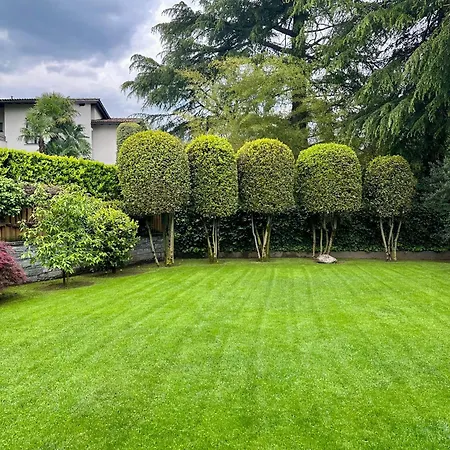 ホームステイ A 